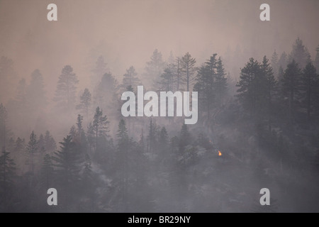 Angora Fire in South Lake Tahoe, CA Stock Photo