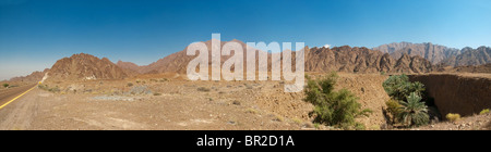 Desert Wadi - UAE. A wadi is a mini oasis in the desert. Usually below the level of the desert floor, it has shade and possibly even running water. Stock Photo