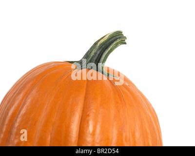 Closeup of a pumpkin isolated on white background Stock Photo