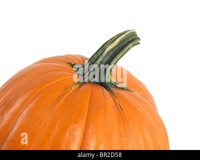 Closeup of a pumpkin isolated on white background Stock Photo