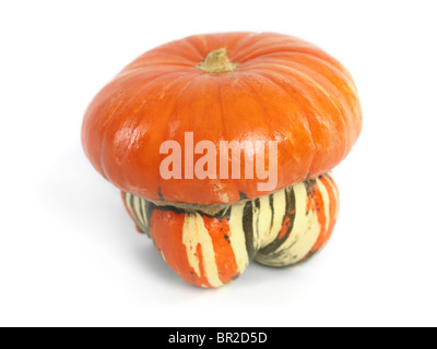 Turks Turban Squash isolated on white background Stock Photo