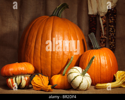 Pumpkins, gourds and indian corn artistic still life on burlap background Stock Photo