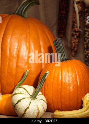 Autumn red pumpkins on a burlap background in a rustic style. Beautiful ...