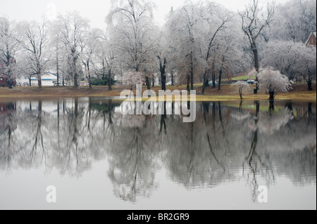 Ice Storm in Elm Park, Worcester, MA. Stock Photo