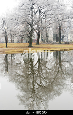 Ice storm in Elm Park, Worcester, MA. Stock Photo