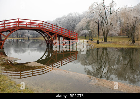 Ice Storm in Elm Park, Worcester, MA. Stock Photo