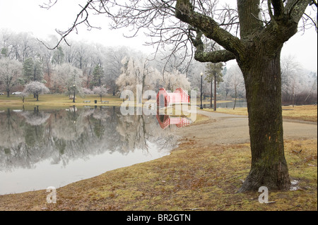 Ice Storm in Elm Park, Worcester, MA. Stock Photo