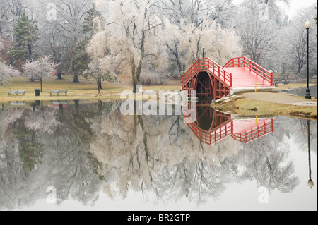 Ice Storm in Elm Park, Worcester, MA. Stock Photo