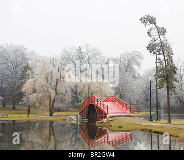 Ice Storm in Elm Park, Worcester, MA. Stock Photo