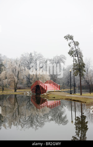 Ice Storm in Elm Park, Worcester, MA Stock Photo