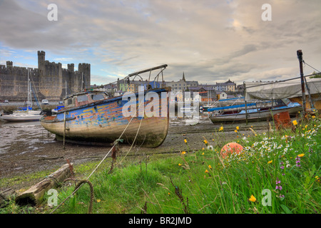 Caernarfon, Gwynedd, North Wales, UK. Old boat moored in fishing port on Afon Seiont River at low tide with castle beyond - hdr Stock Photo