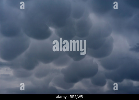 Mammatus or mammatocumulus, are meteorological terms applied to a cellular pattern of pouches hanging at the base of a cloud Stock Photo