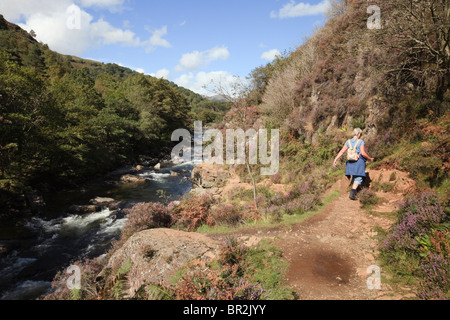 Woman walker walking on riverside path by Afon Glaslyn River in Aberglaslyn Pass in Snowdonia near Beddgelert, North Wales, UK. Stock Photo