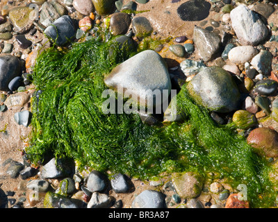 Morfa Nefyn Beach, Llyn Peninsula North Wales UK Stock Photo