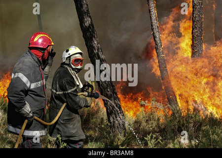 Two firemen try to extinguish a rampant wildfire Stock Photo