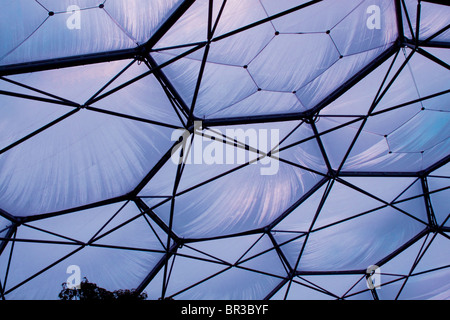 Sunlight and blue sky seen through one of the  Biome's at the Eden Project in Cornwall Stock Photo