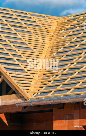 New bungalow valley roof construction showing softwood pine timber battens - Indre-et-Loire, France. Stock Photo