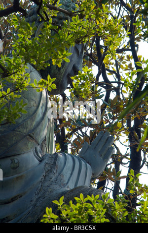 Great Buddha of Tennoji through leaves, Nippori. Tokyo Stock Photo