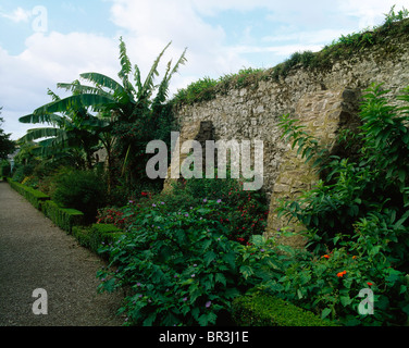 Fota Island, Co Cork, Ireland, Fota Gardens, Herbaceous Border, Fota Arboretum Stock Photo