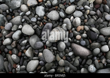 Stones on the beach at Quoddy Head State Park in Maine Stock Photo