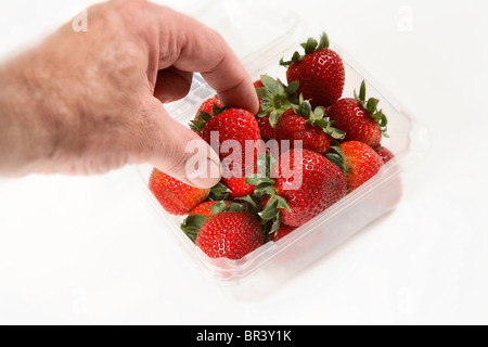 Male hand picking a Strawberry from a punnet or basket of Strawberries Stock Photo