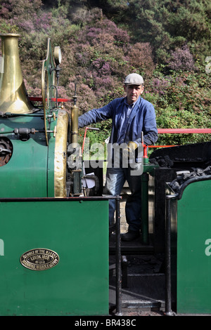 The driver of Manning Wardle and Co. 0-6-0 tank engine Sir Berkeley waits for a signal. The Tanfield Railway. England, UK Stock Photo