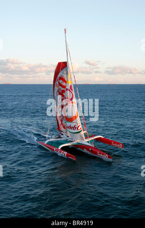 Aerial view of a racing trimaran, Newcastle, New South Wales, Australia. Stock Photo