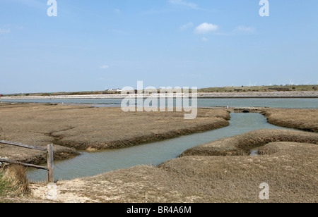 Tidal marshes at the inlet to Rye harbour, this area is perfect for the supply of Rye bay scallops Stock Photo