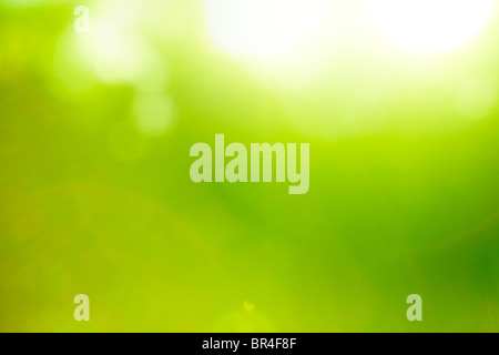 Abstract nature green background (sun flare). Stock Photo