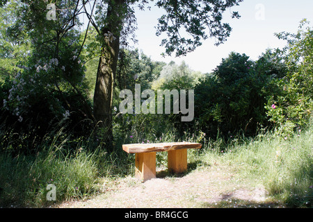 A TRANQUIL AREA IN THE BETH CHATTO GARDEN AT ELMSTEAD MARKET. ESSEX UK. Stock Photo