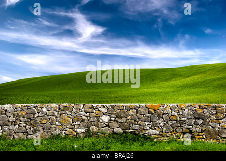 Beautiful green meadow with a old Stone wall Stock Photo