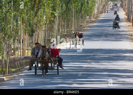 Donkey cart on the road flanked by poplar trees, Hotan, Xinjiang, China Stock Photo