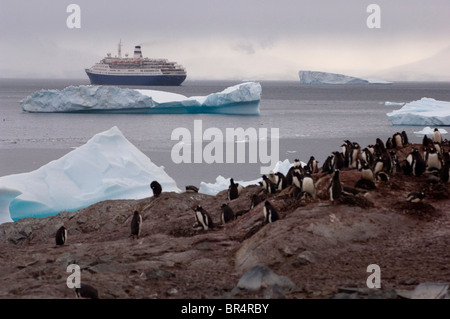 Penguins look on as a cruise ship pulls away in the west coast of Antarctica's peninsula known as Graham Land. Stock Photo