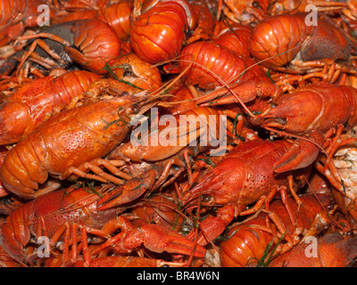 a lot of hot fresh boiled red crawfish Stock Photo
