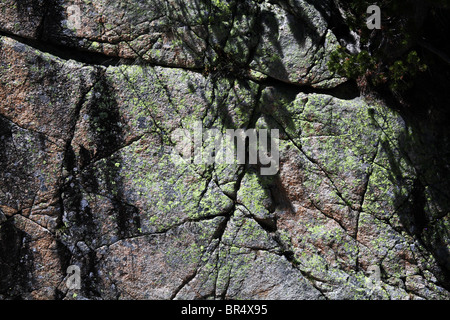 Leafy shadows and split cracked granite with moss in the Pyrenees Spain Stock Photo