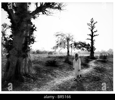 Portrait of shepherd in the Gambian bush. Stock Photo