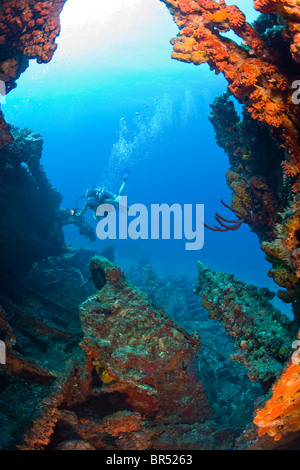 Salt Island Rms Rhone Female teen scuba diver Wreck of the RMS Rhone off the coast of Salt ...
