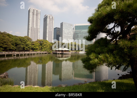 Views of skyscrapers in the Shiodome district as seen from within Hama-rikyu Teien Gardens, in Tokyo, Japan, Monday 23rd August Stock Photo