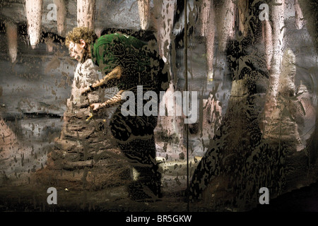 A keeper is cleaning the window of the Seba's Short-tailed Bat, Carollia perspicillata, cave. Stock Photo