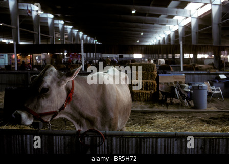 Albuquerque Stock Photo