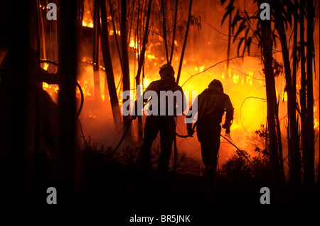Two silhouetted firemen try to extinguish a wildfire during the night Stock Photo