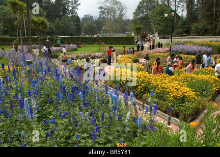 Bryant Park in Kodaikanal, Tamil Nadu. Stock Photo