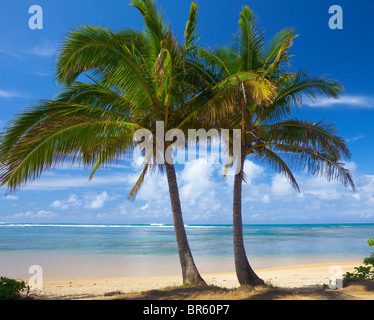 Kauai, Hawaii Two palm trees frame a stretch of Anini beach on the north shore of Kauai Stock Photo