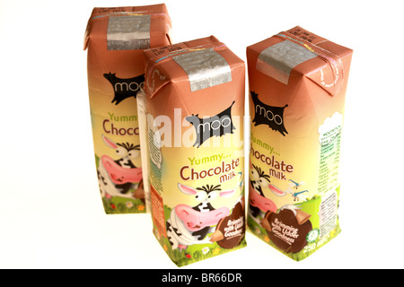 Moo Chocolate Milk Drink Stock Photo