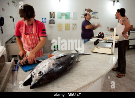 A whole young tuna on the counter at a fish monger in Malta. Stock Photo