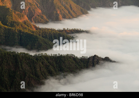 Mountain hillside in the sea of clouds Stock Photo