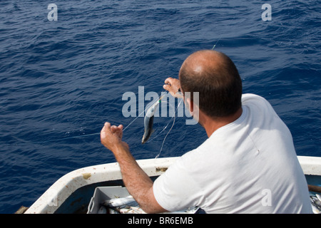 A fisherman baiting the surface longline from a moving launch in small-scale fishing by Maltese fishermen in the Mediterranean. Stock Photo