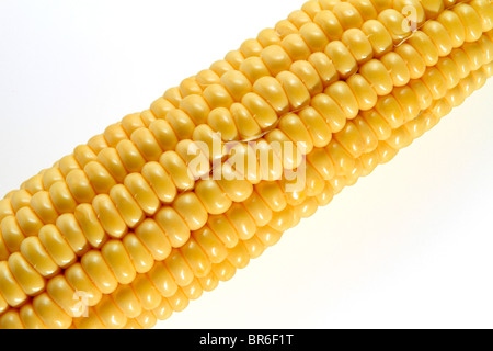 yellow corn cob Stock Photo