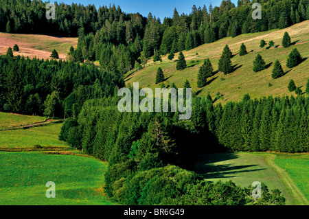 Germany, Black Forest: Landscape in the High Valley of Bernau Stock Photo