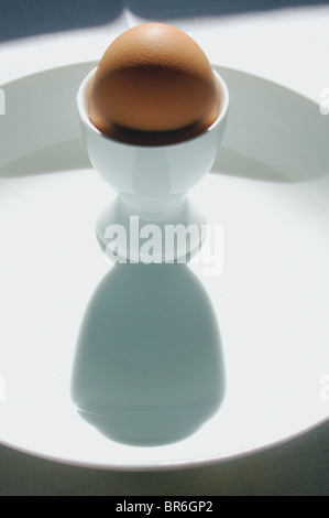 Brown egg in a white ceramic / pottery egg cup on a white ceramic plate with deep shadows. Stock Photo